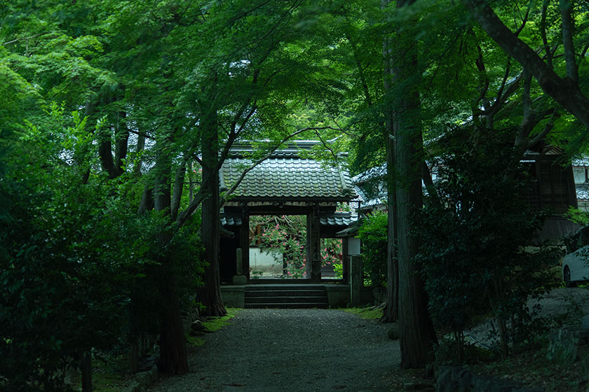 青岸寺の山門